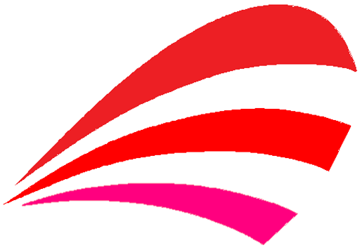 Scarf 'N' Shawls Logo